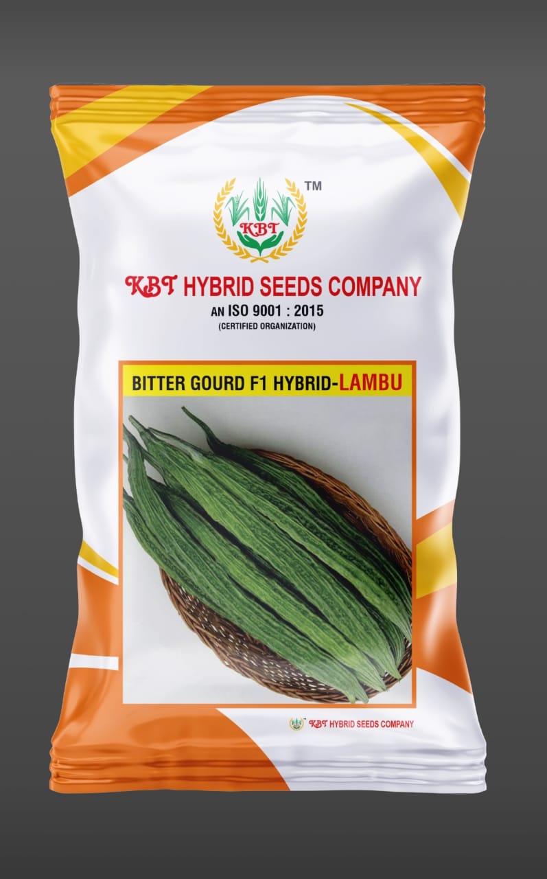 BITTER GOURD F1 HYBRID - LAMBU 10g